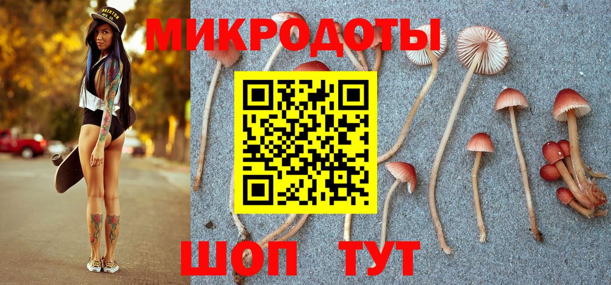 Славянск-на-Кубани  Псилоцибиновые грибы Psilocybe  Вход с VPN 